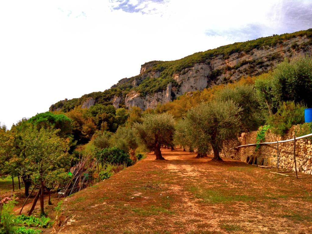 Villa Agriturismo Ca' Magli Orco Feglino Exterior foto